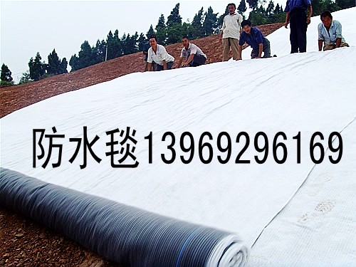 hl膨润土防水毯华龙